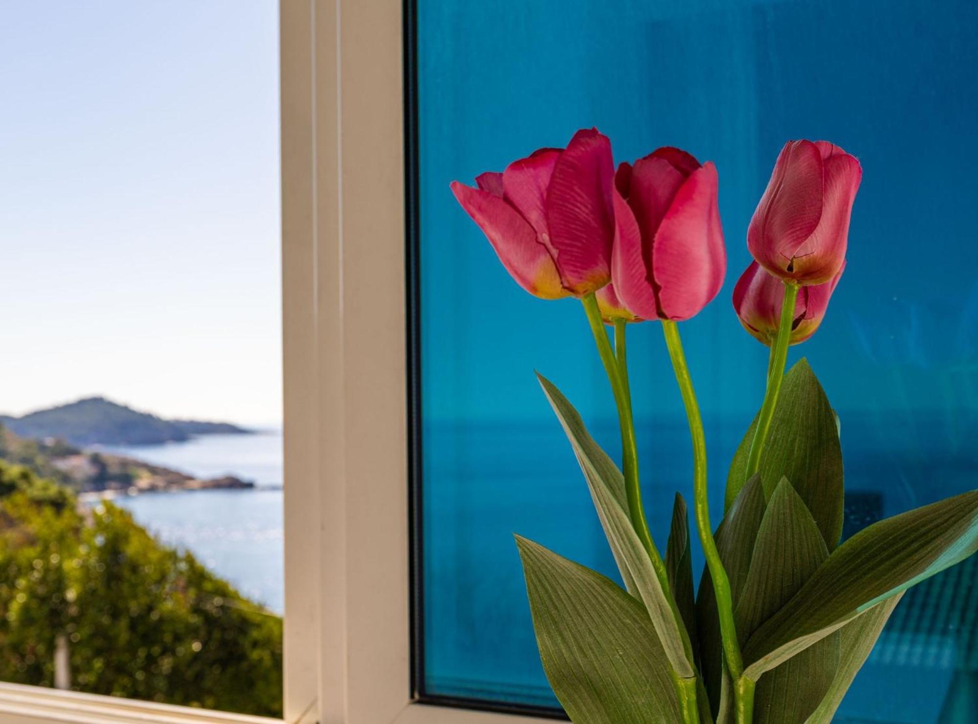 Apartment Butterfly Dubrovnik Exterior photo